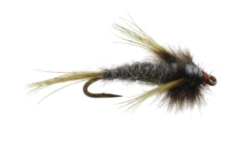 Bubbas Callibaetis